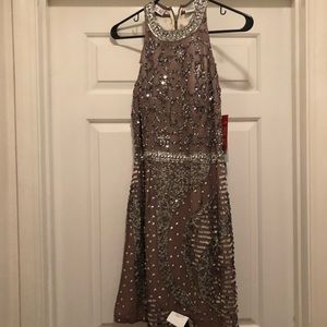 A handmaid SHAIL K garment dress.